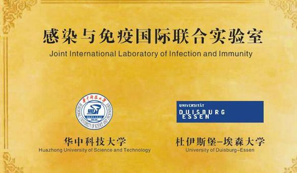 武汉协和医院整形美容科怎么样？医院实力解析！价格参考！