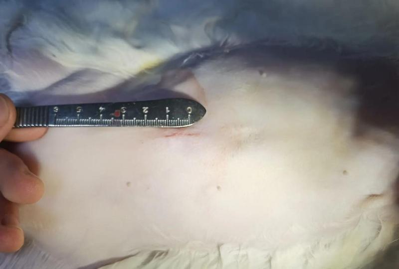 南宁隆鼻医院排名前十强，华美、韩美等多家正规医美机构上榜